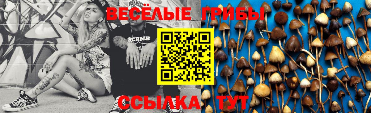 Галлюциногенные грибы Psilocybe  Галлюциногенные грибы мухоморы  Вход с VPN  Набережные Челны 